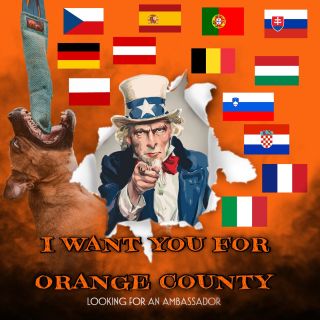 ⭐️ We are looking for new ambassadors across Europe 🐕Do you live an active life with your four-legged friend? 💡Are you...